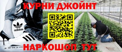 прущая мука Дубна