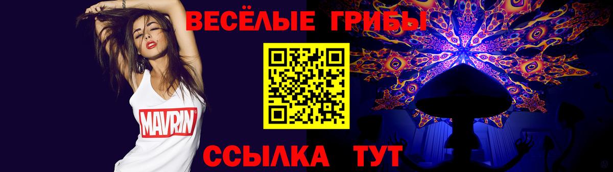 купить наркотик  Вход с VPN  Минеральные Воды  Псилоцибиновые грибы мицелий 
