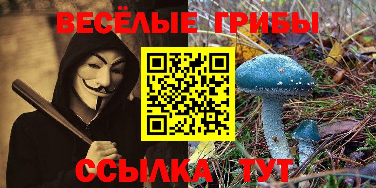 Галлюциногенные грибы ЛСД Минеральные Воды